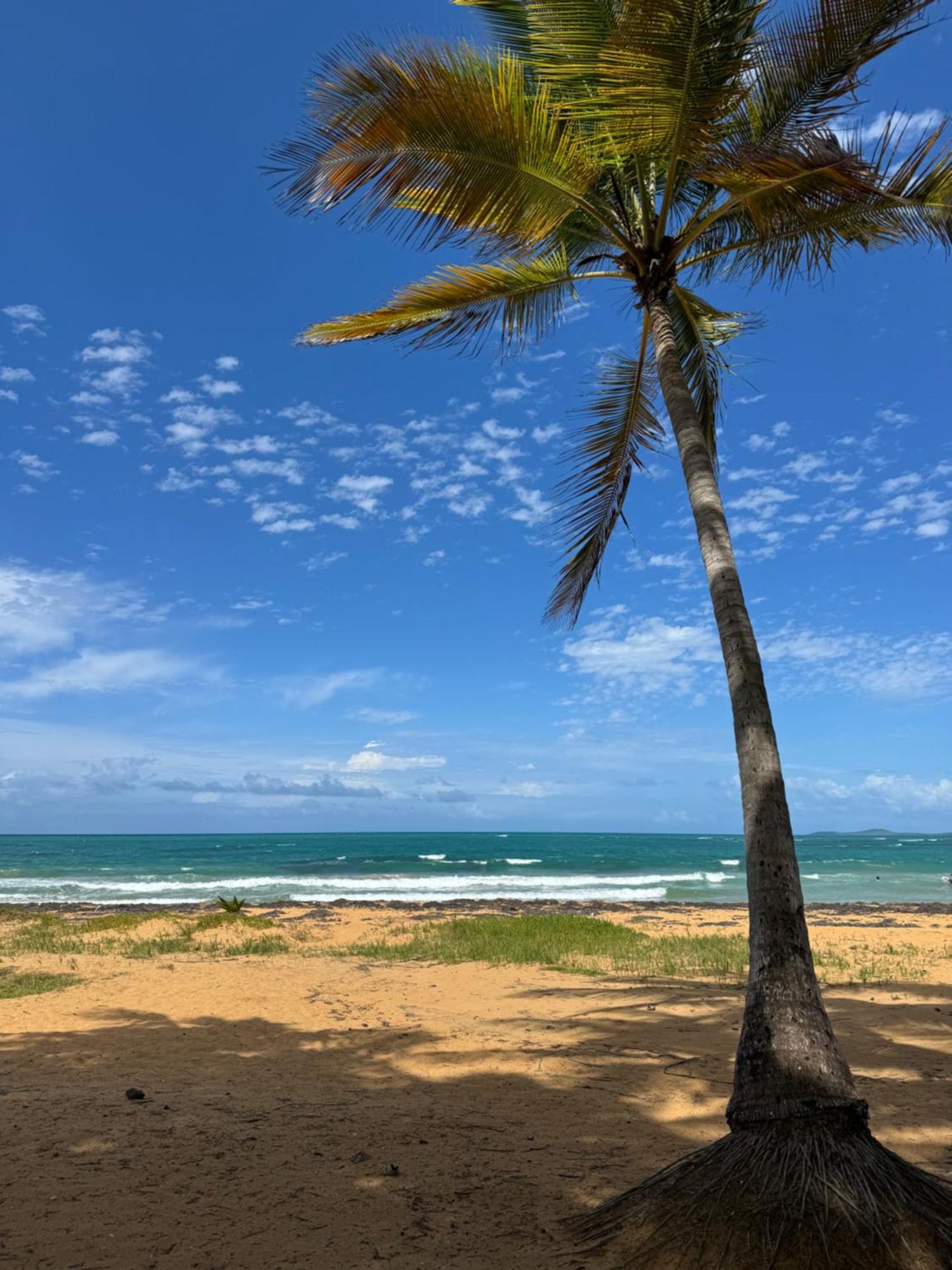 Ocean Blue Beach Apt Luquillo Exterior photo
